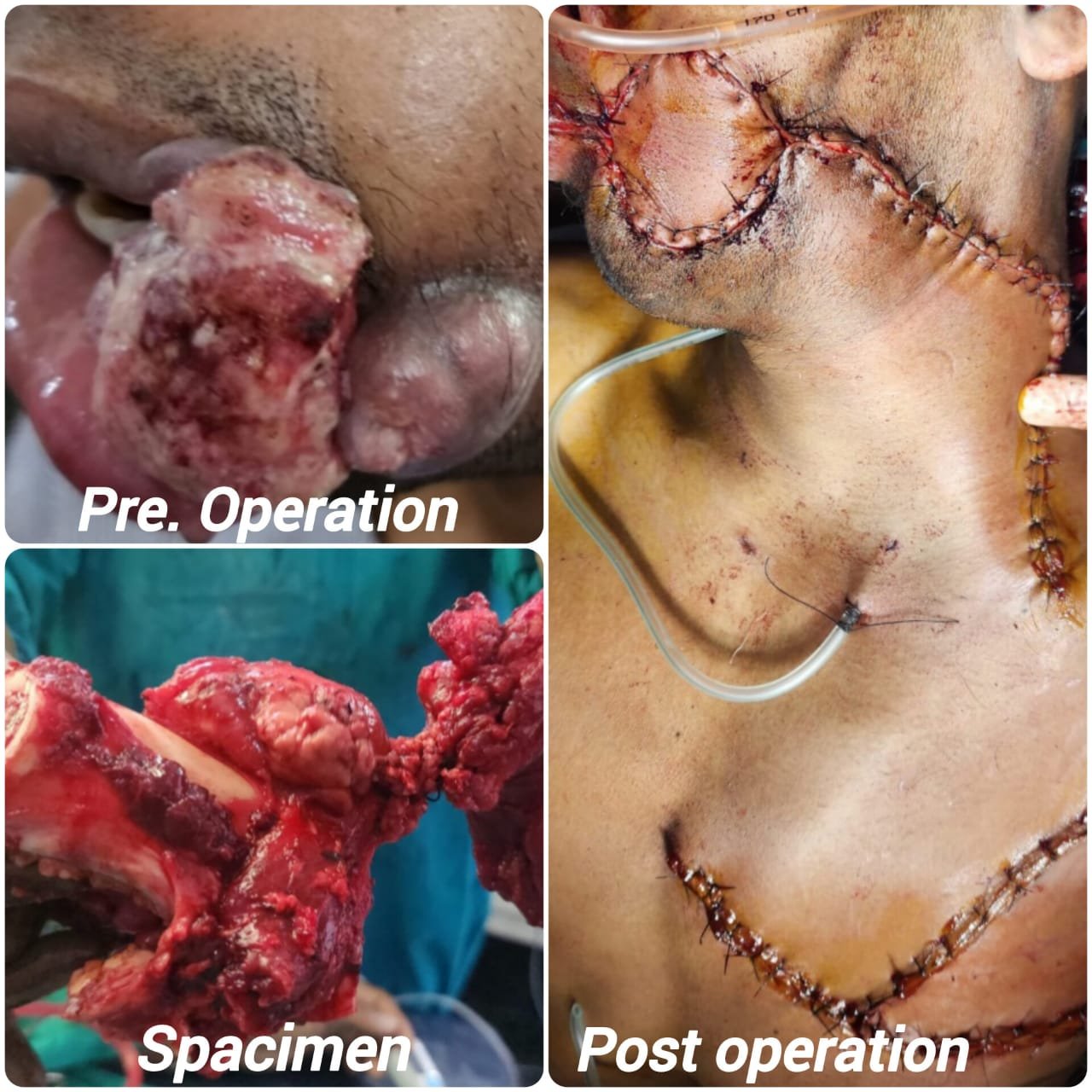 Shri. Sanjay Savkare